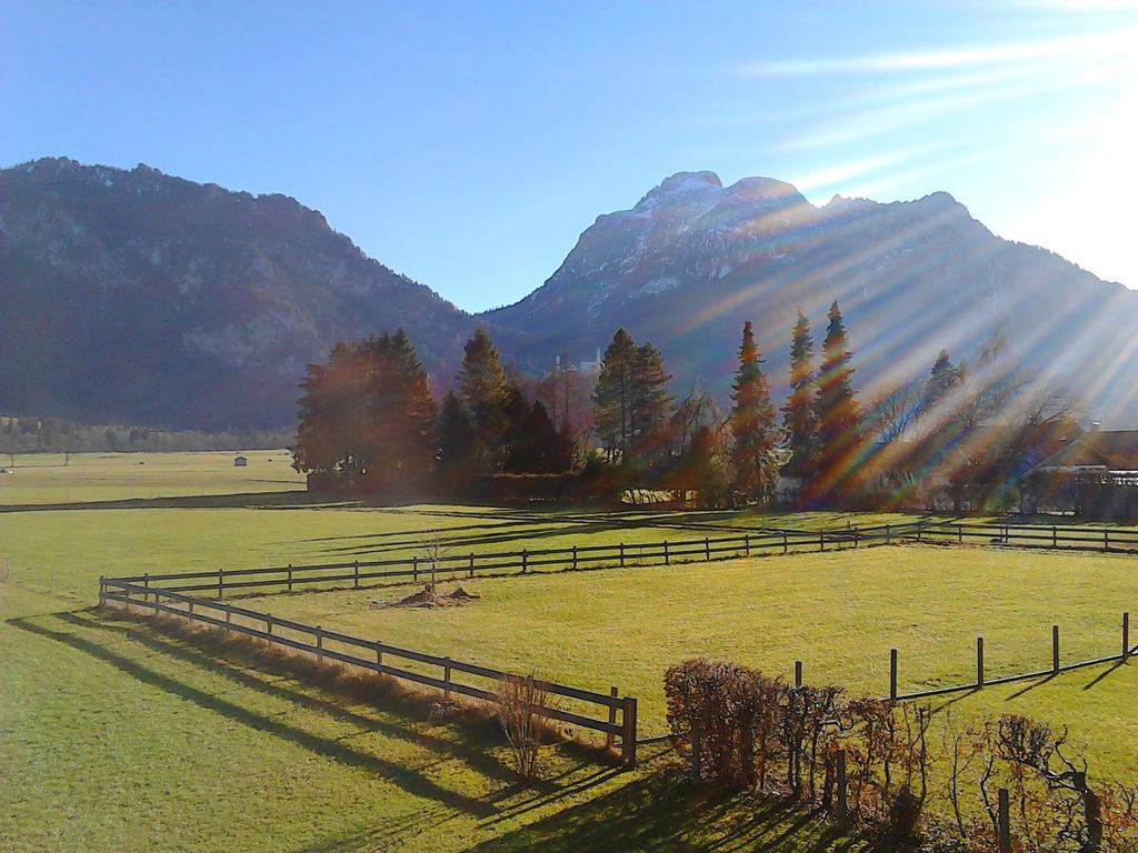 Lizzi Mountain Apartments Schwangau Rum bild